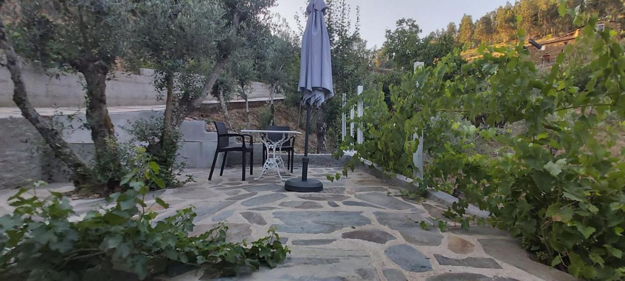 Casa Oliveiras - Casas Do Sinhel Hébergement de vacances Cha de Alvares
